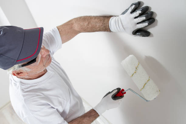Best Mold Damage Restoration  in Eielson Af, AK