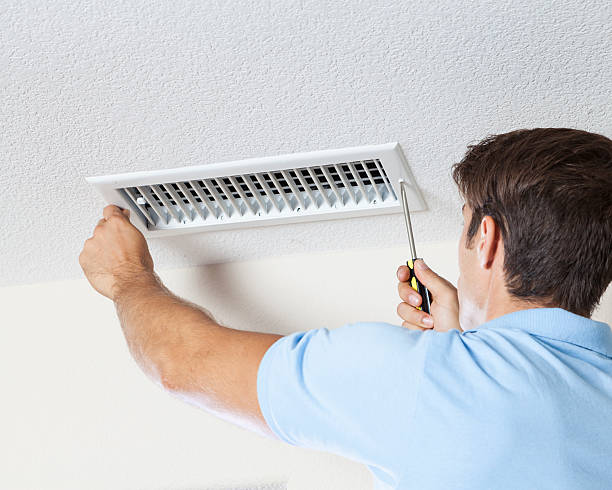 Best Attic Mold Removal  in Eielson Af, AK