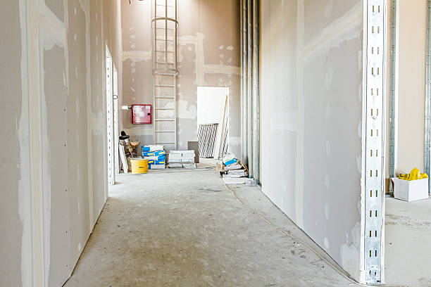 Best Basement Mold Removal  in Eielson Af, AK